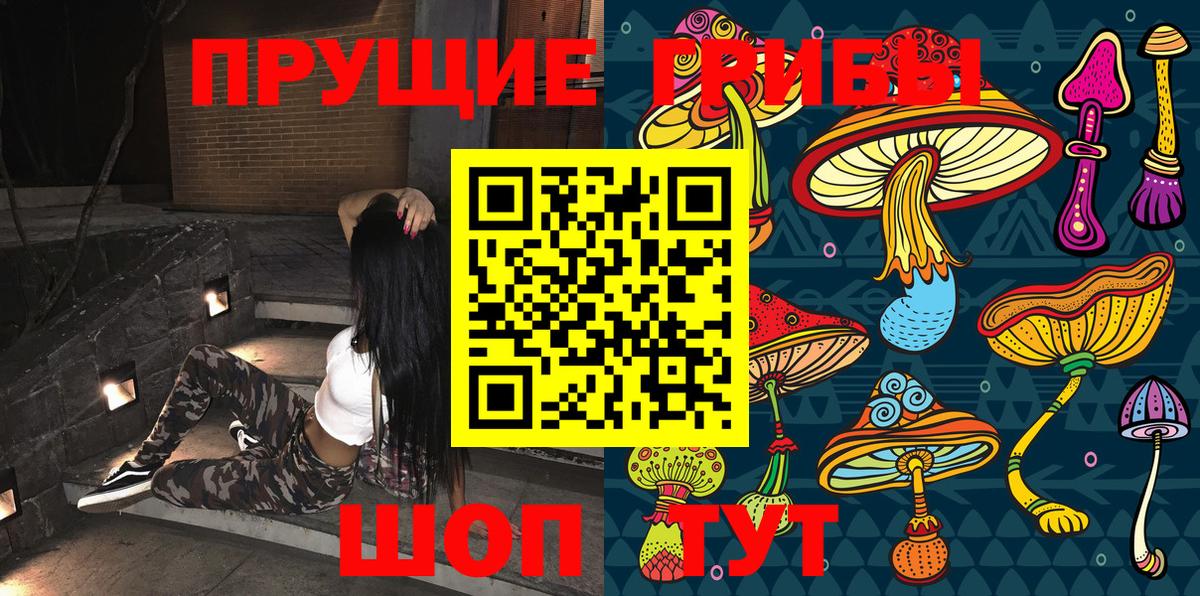 Галлюциногенные грибы Psilocybine cubensis Киров