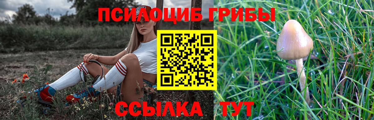 Псилоцибиновые грибы Magic Shrooms  Вход с VPN  Киров 